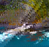 Newland Head Conservation Park - Tourism Gold Coast