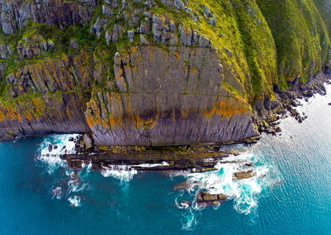 Newland Head Conservation Park - Tourism Gold Coast 0