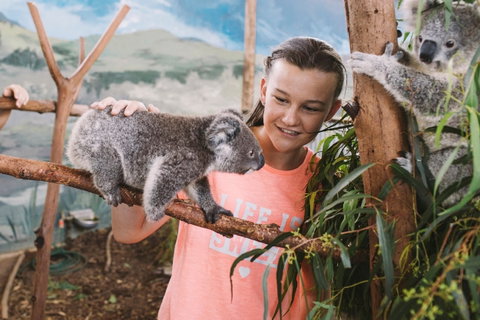 Oakvale Wildlife Park - Tourism Gold Coast 0