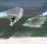 Old Bar - Gold Coast