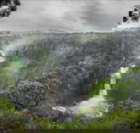 Oxley Wild Rivers National Park - Tourism Gold Coast