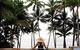 Palm Cove - thumb 1