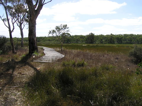 Penola Conservation Park - Tourism Gold Coast 0