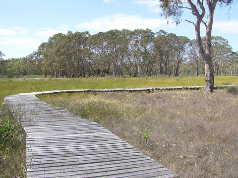 Penola Conservation Park - Tourism Gold Coast 1