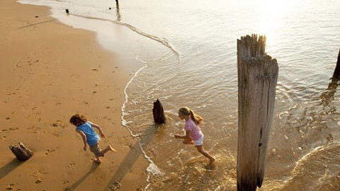 Phillip Island - Tourism Gold Coast 0