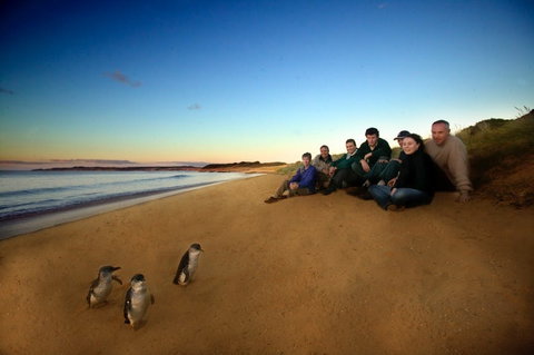 Phillip Island - Tourism Gold Coast 2