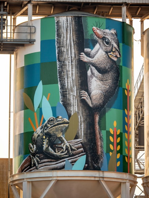 PUBLIC Silo Trail: Newdegate - Tourism Gold Coast 2
