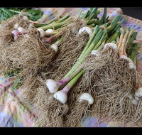 Queanbeyan Park Market - Tourism Gold Coast