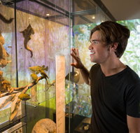 Queensland Museum - Tourism Gold Coast