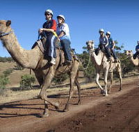 Quorn - Tourism Gold Coast
