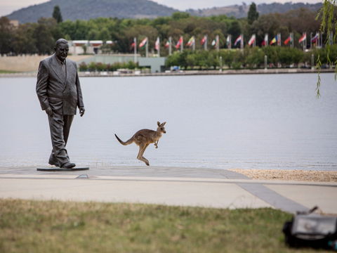 R G Menzies Walk - Tourism Gold Coast 1