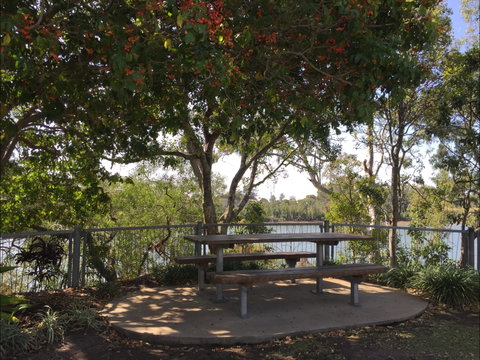 Riverside Parklands And Playground - Tourism Gold Coast 1