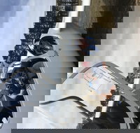 Southern Tablelands Gliding Club - Gold Coast