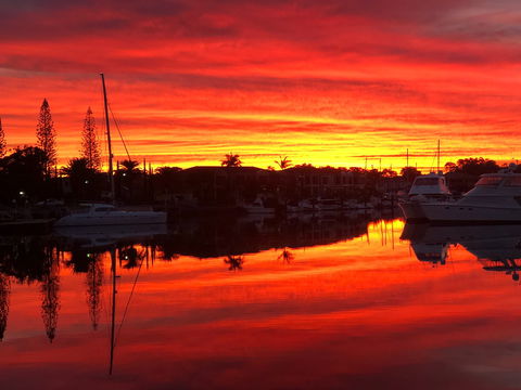 Straddievarious Gallery - Tourism Gold Coast 1