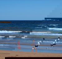 Surf Beach Batemans Bay - Tourism Gold Coast