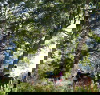 The Outlook Riding Academy - Tourism Gold Coast