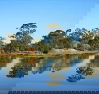 The Gums - Tourism Gold Coast