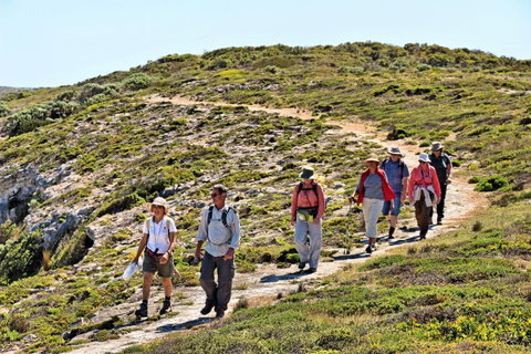 The Sole Walk At Hillocks Drive - Tourism Gold Coast 0