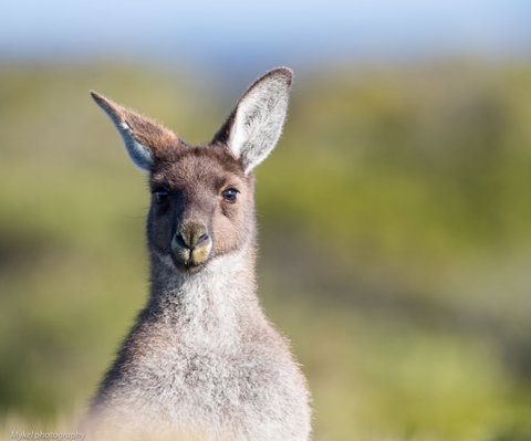 The Sole Walk At Hillocks Drive - Tourism Gold Coast 1