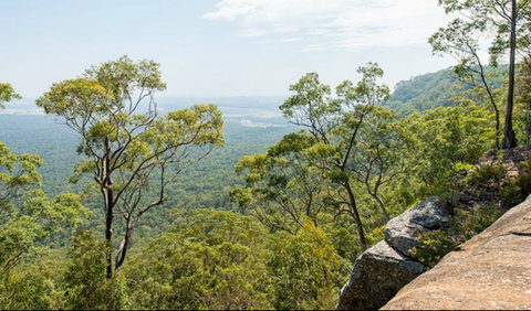 The Narrow Place Lookout - Tourism Gold Coast 0