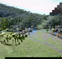 Timbertops - Horse Riding - Tourism Gold Coast