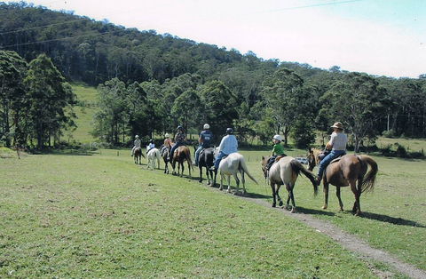 Timbertops - Horse Riding - Tourism Gold Coast 0
