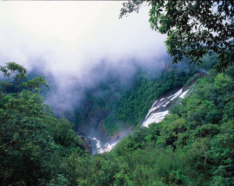 Tully Falls And Tully Gorge - Gold Coast 0