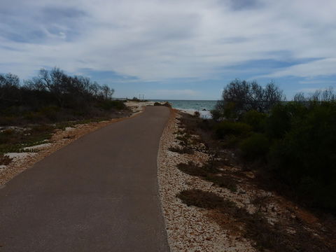 Turquoise Way Trail, Jurien Bay - Tourism Gold Coast 0