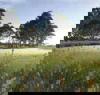 Twin Creeks Golf and Country Club - Tourism Gold Coast