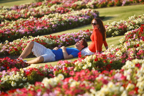 Victoria State Rose Garden At Werribee Park - Tourism Gold Coast 1