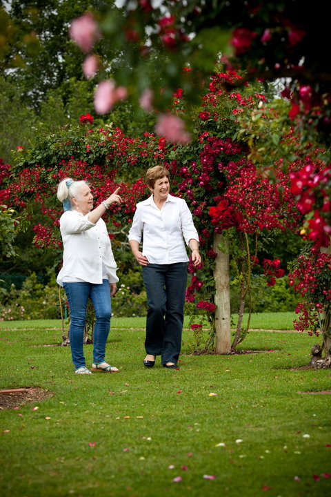 Victoria State Rose Garden At Werribee Park - Tourism Gold Coast 2