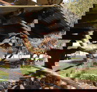 Walcha Open Air Gallery - Tourism Gold Coast