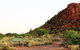 Whyalla Conservation Park - thumb 0