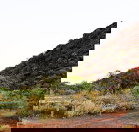 Whyalla Conservation Park - Tourism Gold Coast