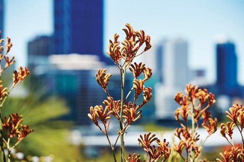 A Day In Perth - Tourism Gold Coast 1