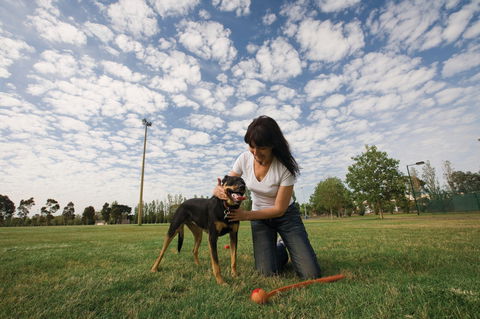 Albert Park - Tourism Gold Coast 2