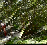 Alfred National Park - Tourism Gold Coast