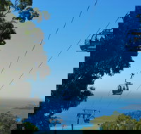 Arthurs Seat Eagle - Tourism Gold Coast