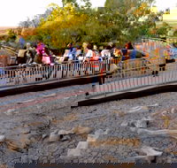 Australian Age of Dinosaurs - Tourism Gold Coast