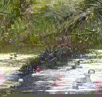 Berry Springs - Tourism Gold Coast