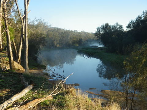 Bilya Walk Track - Gold Coast 0
