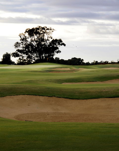 Black Bull Golf Course - Tourism Gold Coast 1