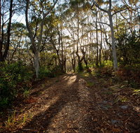 Booderee National Park Munyunga Waraga Dhugan Walking Trail - Tourism Gold Coast