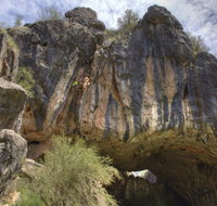 Borenore Karst Conservation Reserve - Tourism Gold Coast