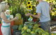 Broome Food And Heritage Trail - thumb 0