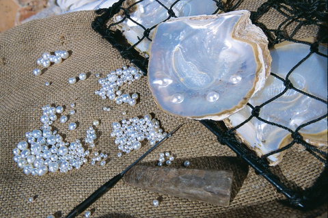 Broome Food And Heritage Trail - Tourism Gold Coast 2