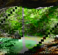 Buderim - Tourism Gold Coast