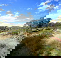 Bullocks walking track - Tourism Gold Coast