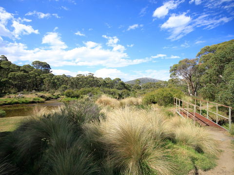 Bullocks Walking Track - Tourism Gold Coast 0