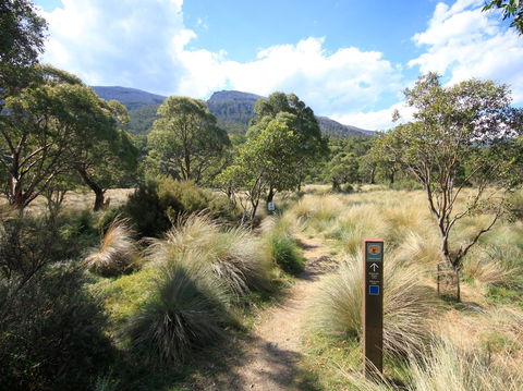 Bullocks Walking Track - Tourism Gold Coast 2